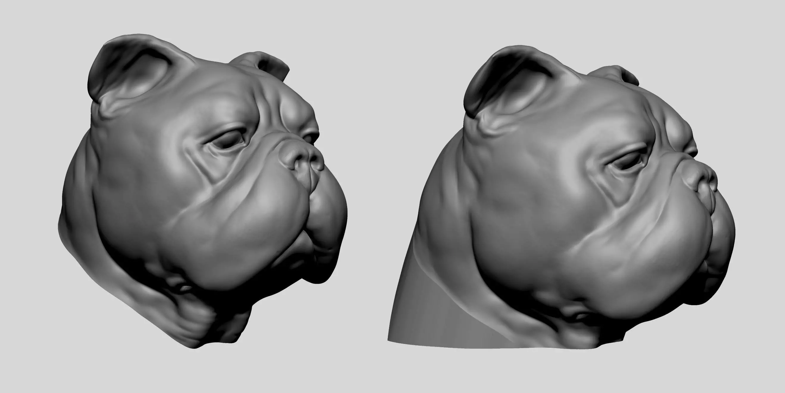Dog Bust v4 3D model_0