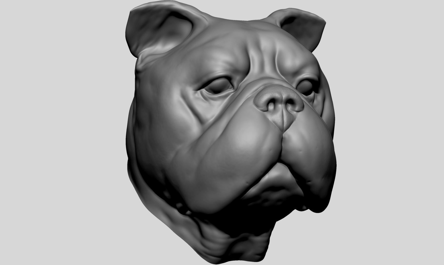 Dog Bust v4 3D model_2