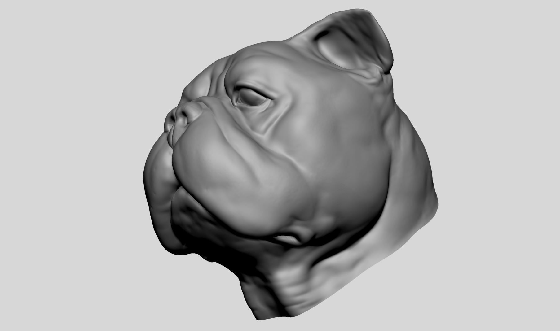 Dog Bust v4 3D model_5