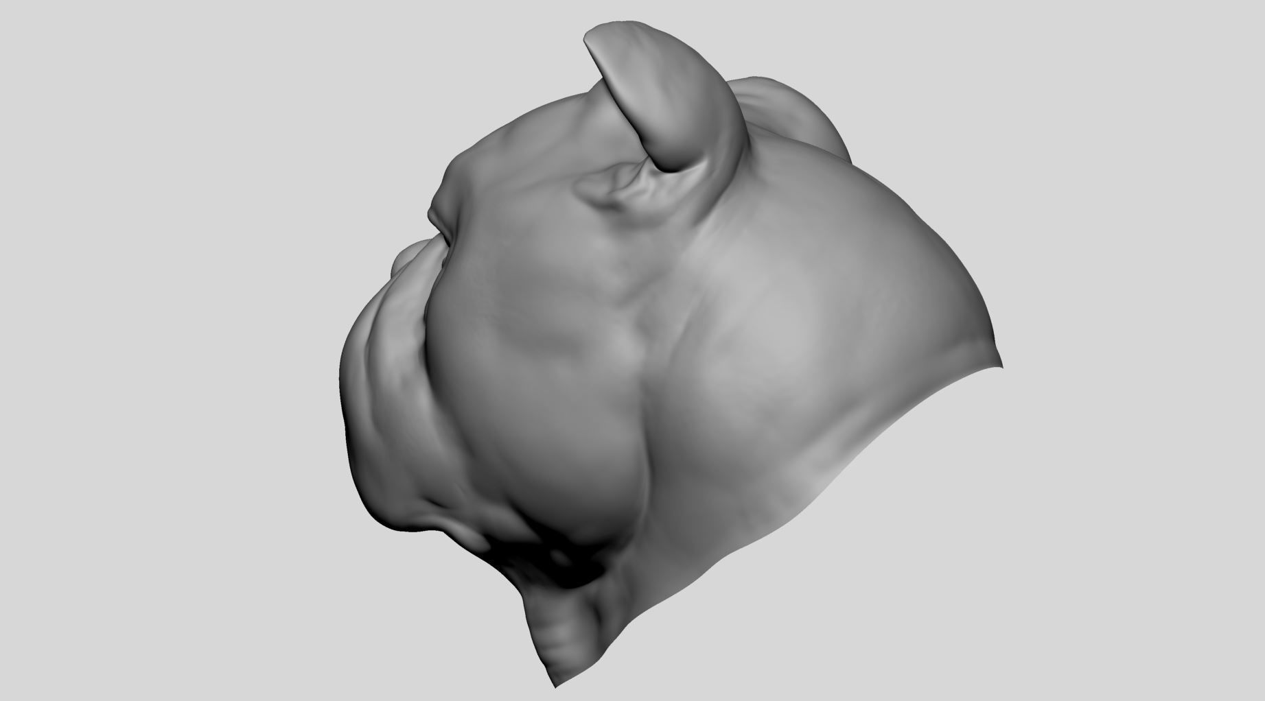 Dog Bust v4 3D model_6