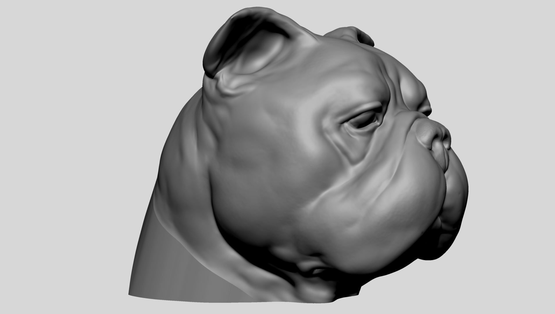Dog Bust v4 3D model_9