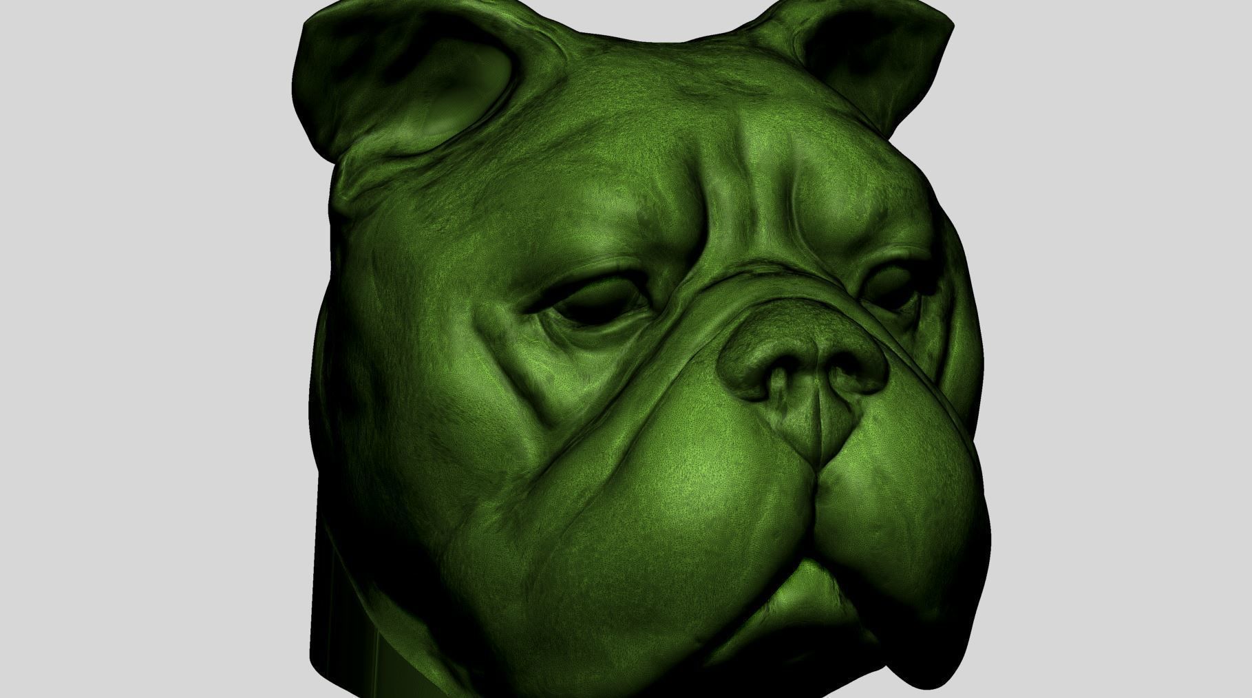 Dog Bust v4 3D model_13