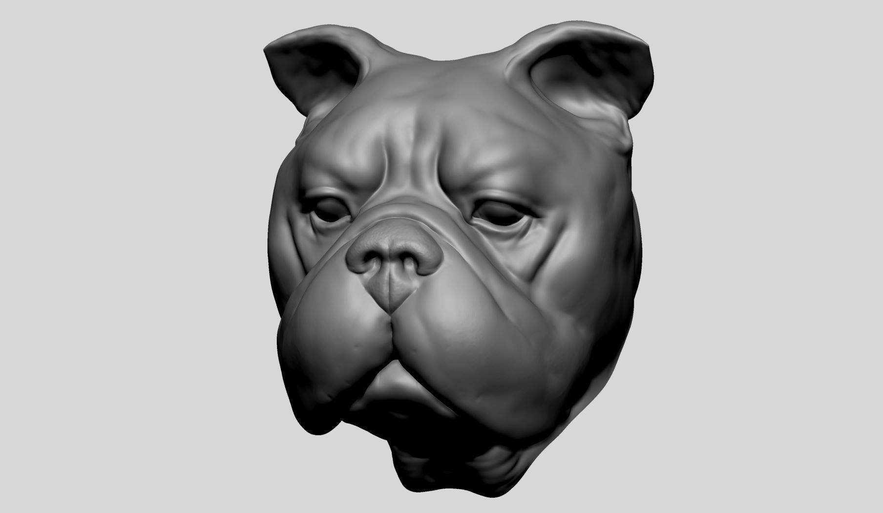 Dog Bust v4 3D model_3