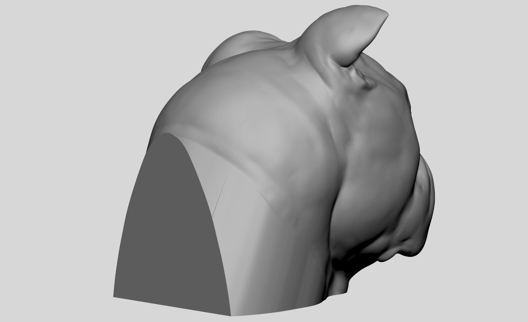 Dog Bust v4 3D model_11