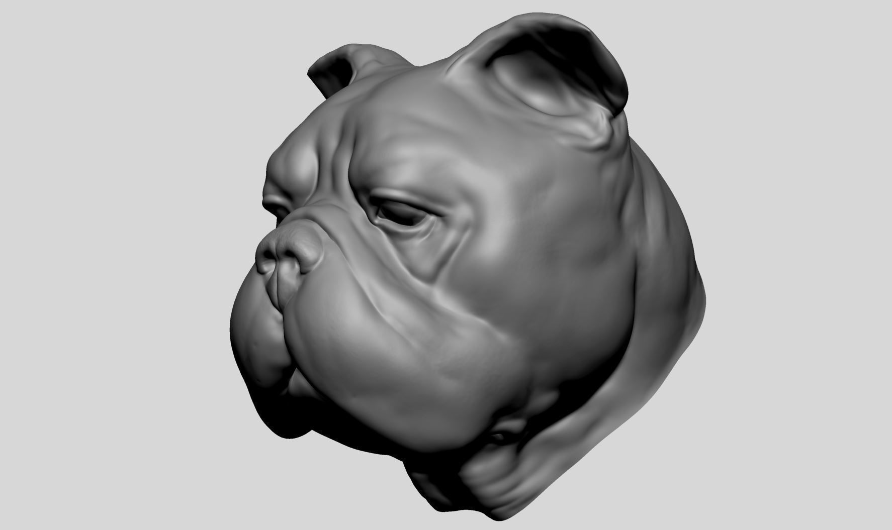 Dog Bust v4 3D model_4