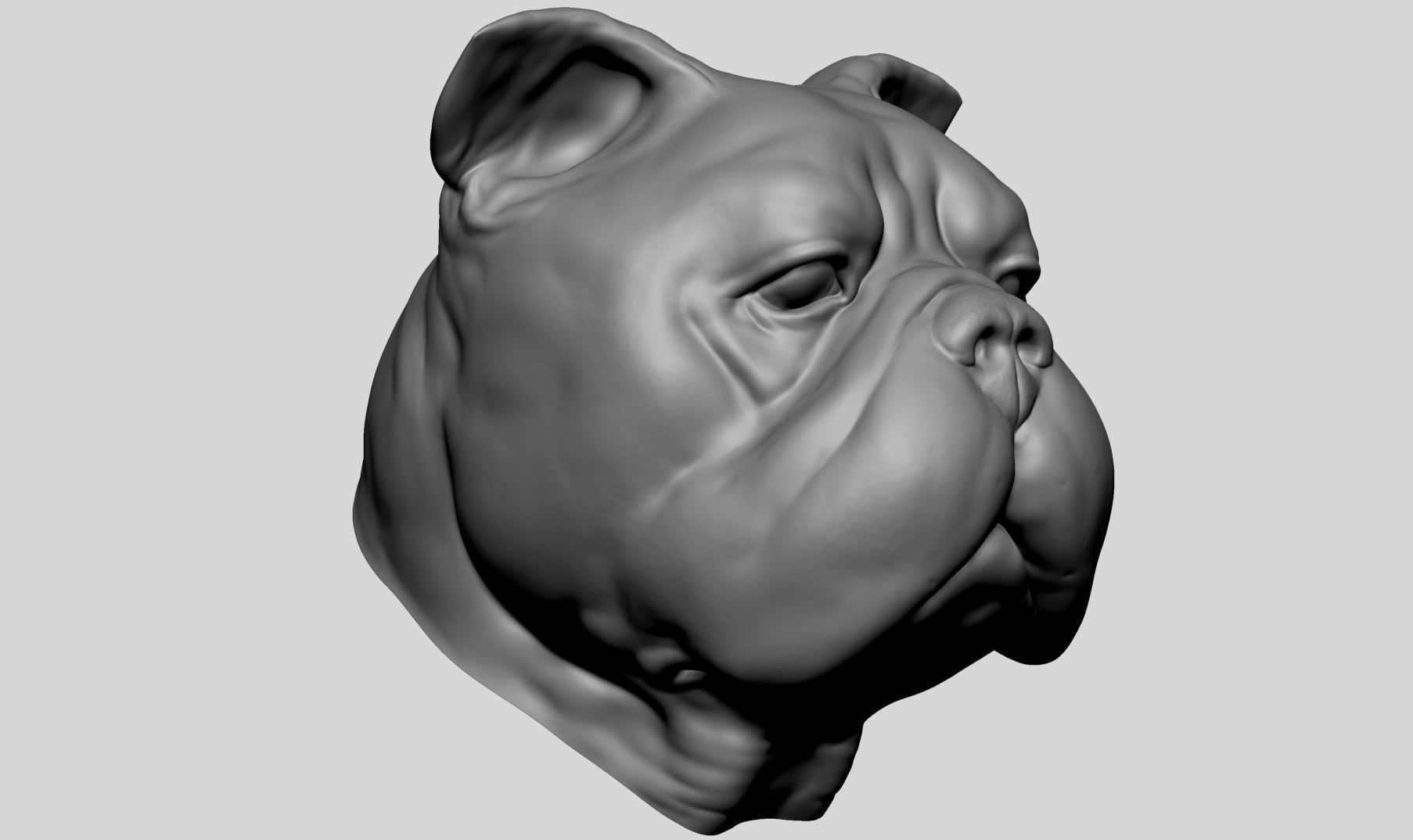 Dog Bust v4 3D model_1