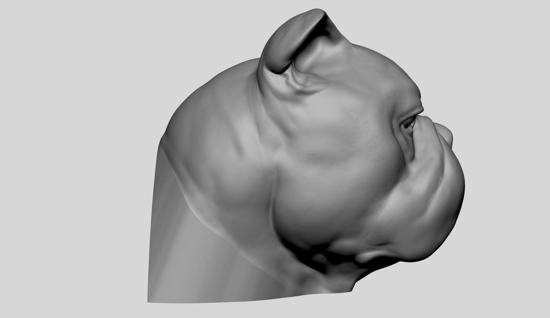 Dog Bust v4 3D model_10
