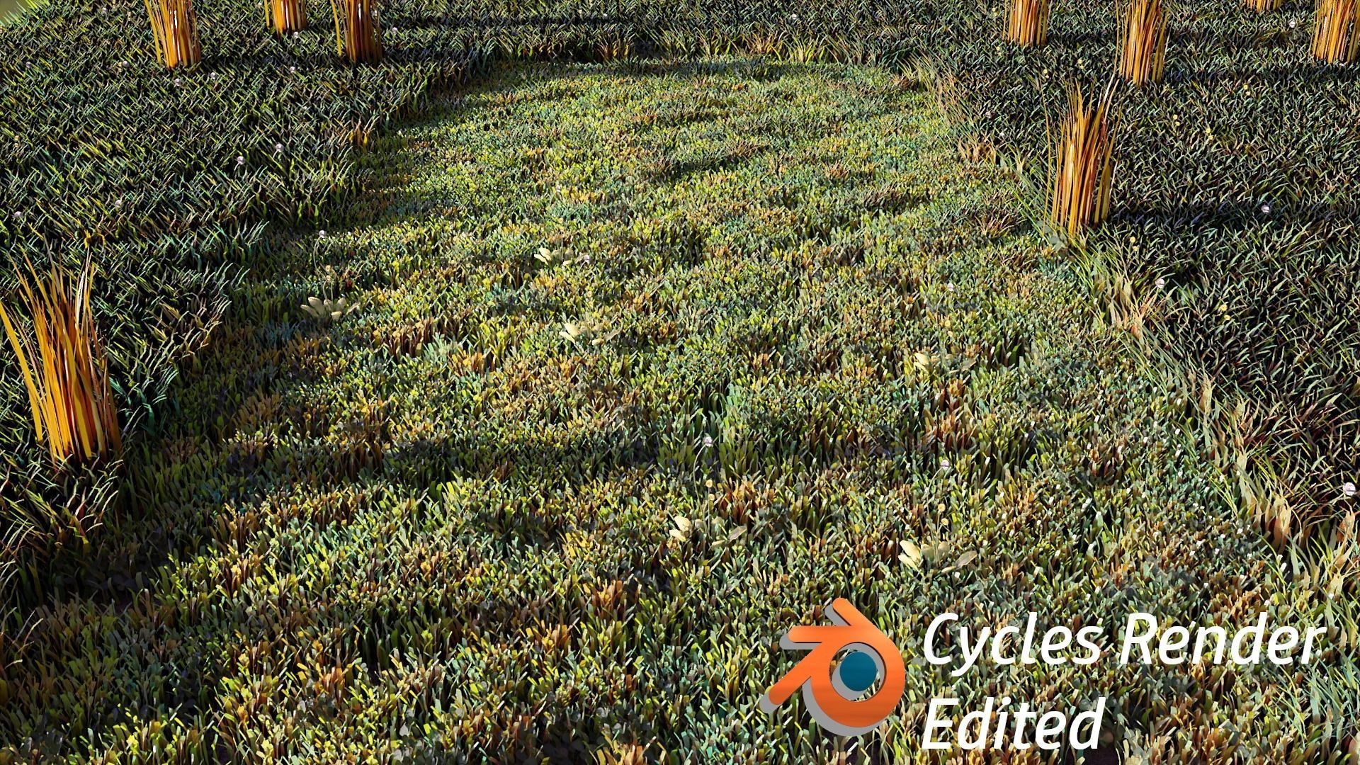 Grass Pack with geometry nodes Low-poly 3D model_2