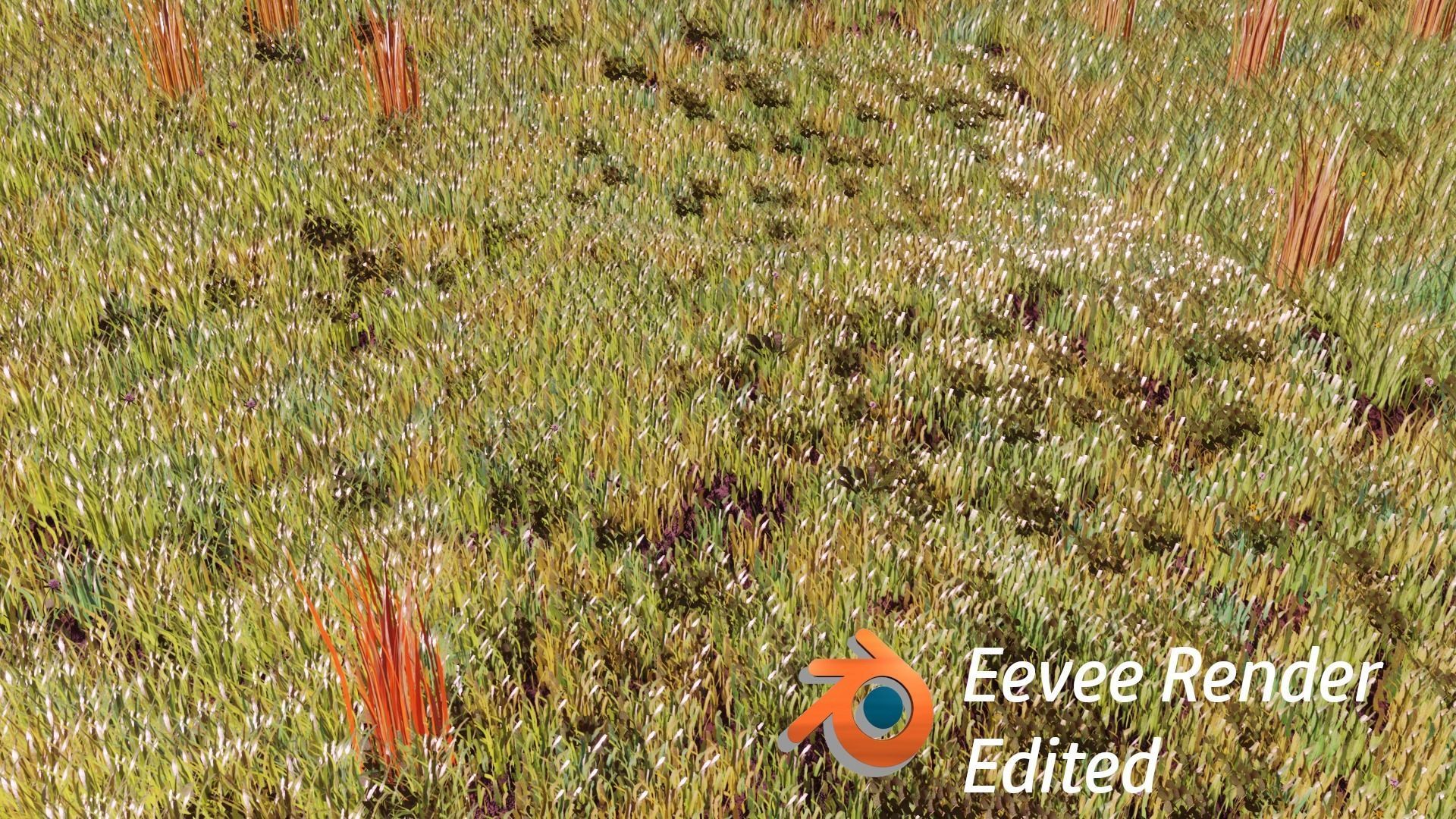 Grass Pack with geometry nodes Low-poly 3D model_6