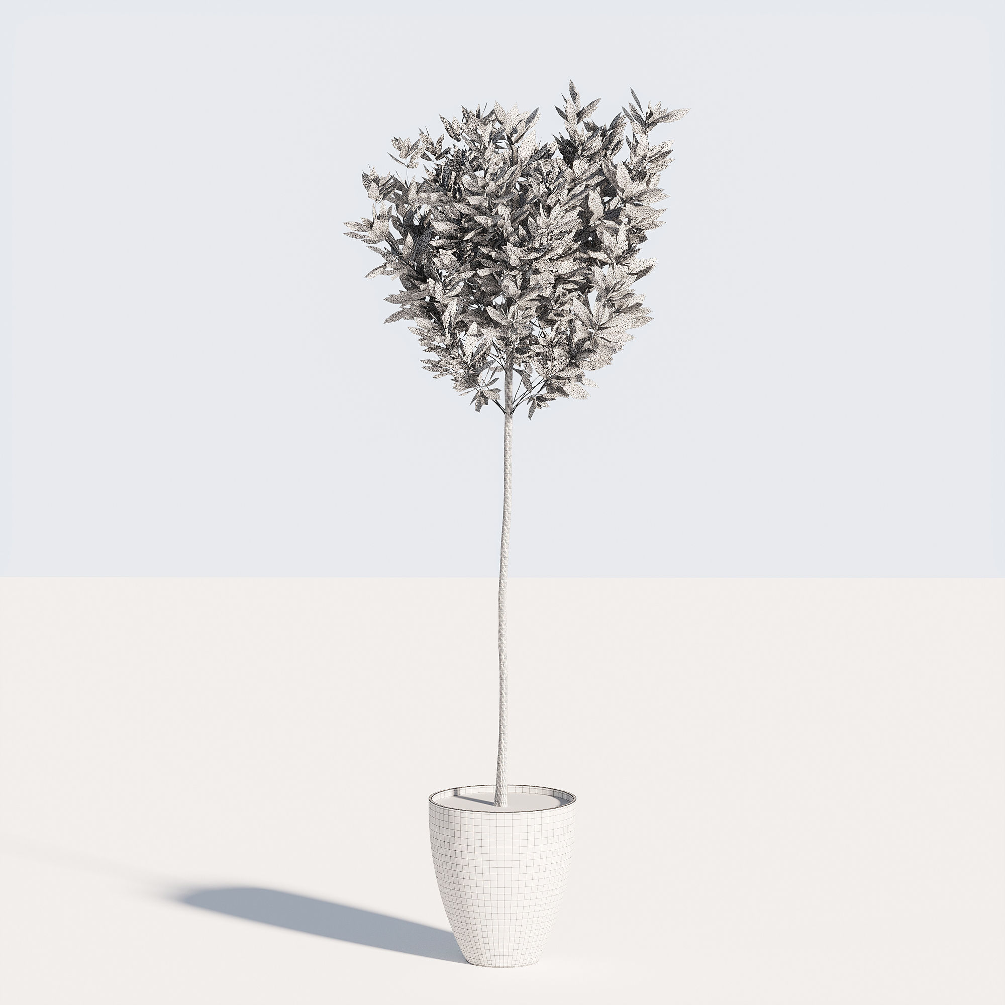 Bushes for Interior 3D model_3