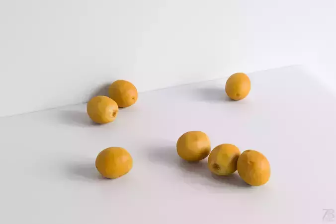Date  3D model