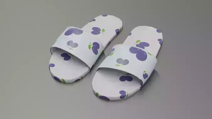 Blueberry slippers