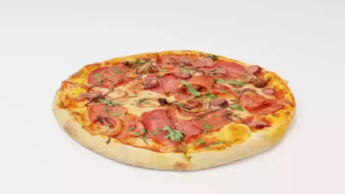 Pizza with onions salamy and sausage