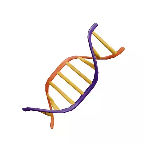 DNA 3D Model strand Low-poly 3D model