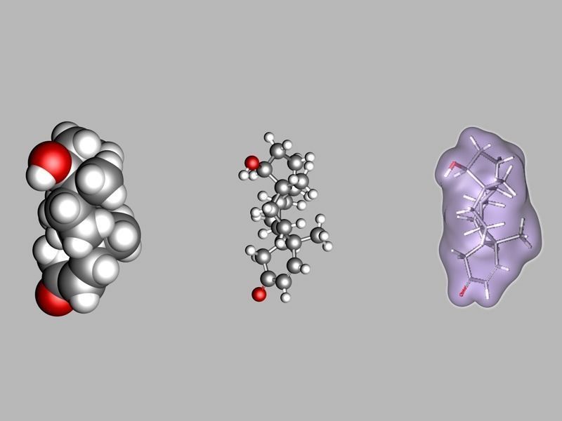 Collection of testosterone and related molecules 3D model_5