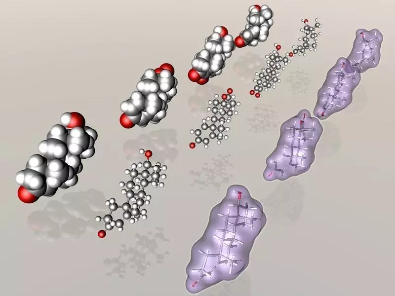 Collection of testosterone and related molecules 3D model_0