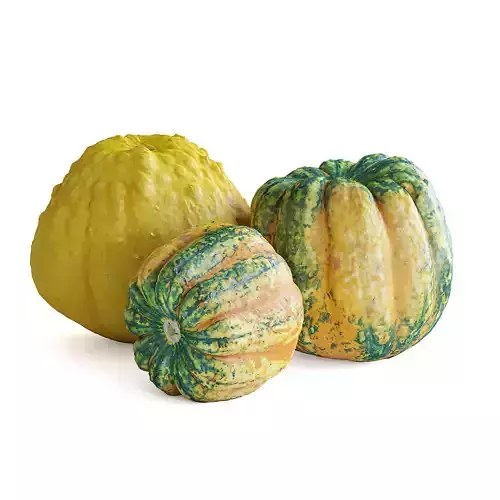 Decorative Pumpkins