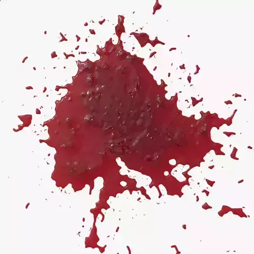 Blood Stain 4 3D model