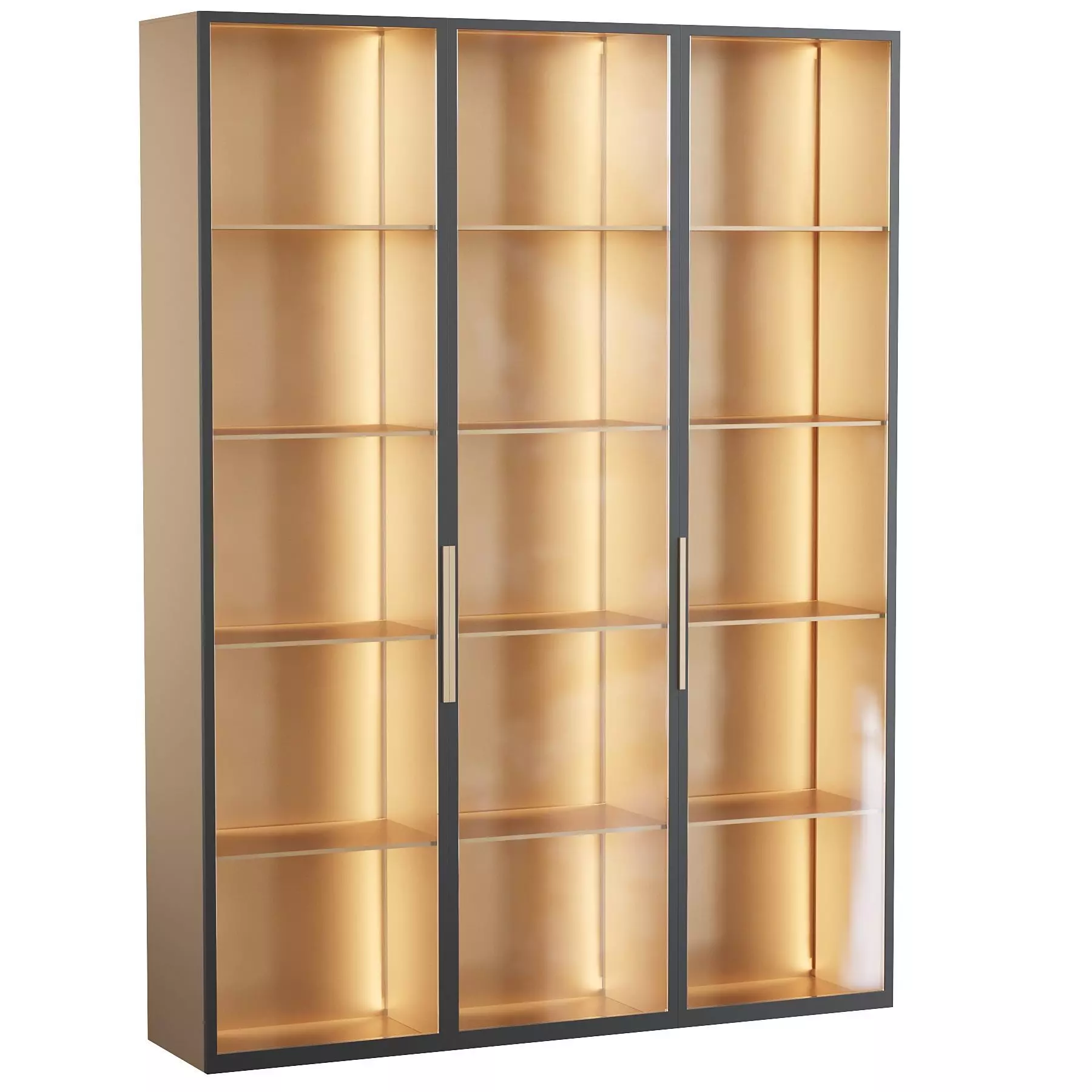 cupboard bookcase with glass doors 3D model_0