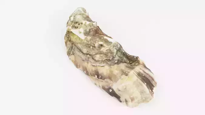 Irish Oyster Ireland 