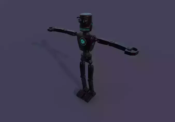 Robot