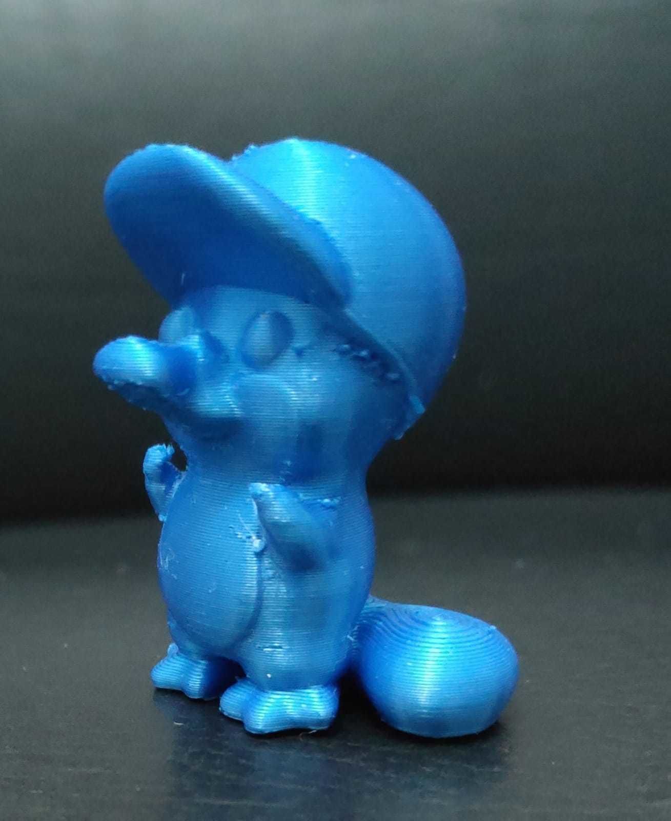 Standing Platypus 3D print model_9