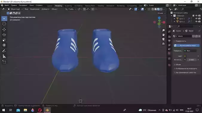 butse pair of shoes in software