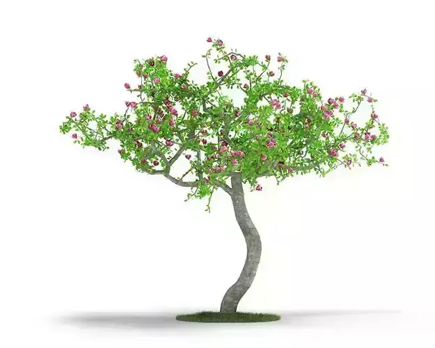 Small Floral Tree