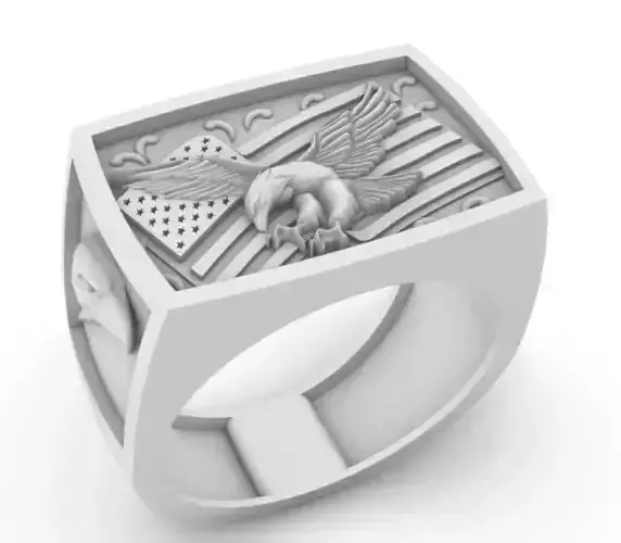 Ring Eagle USA EEUU America flag 3D print model