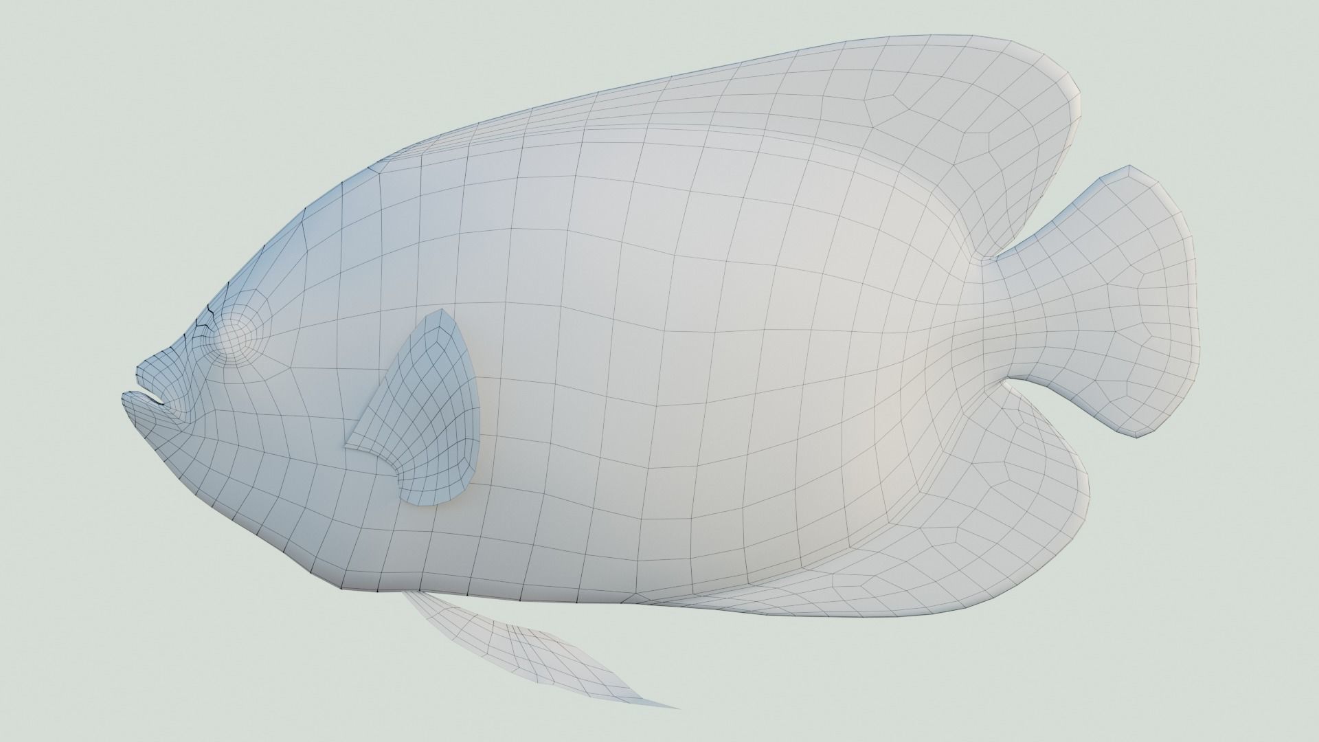 Blue girdled Angelfish set 02 Low-poly 3D model_4