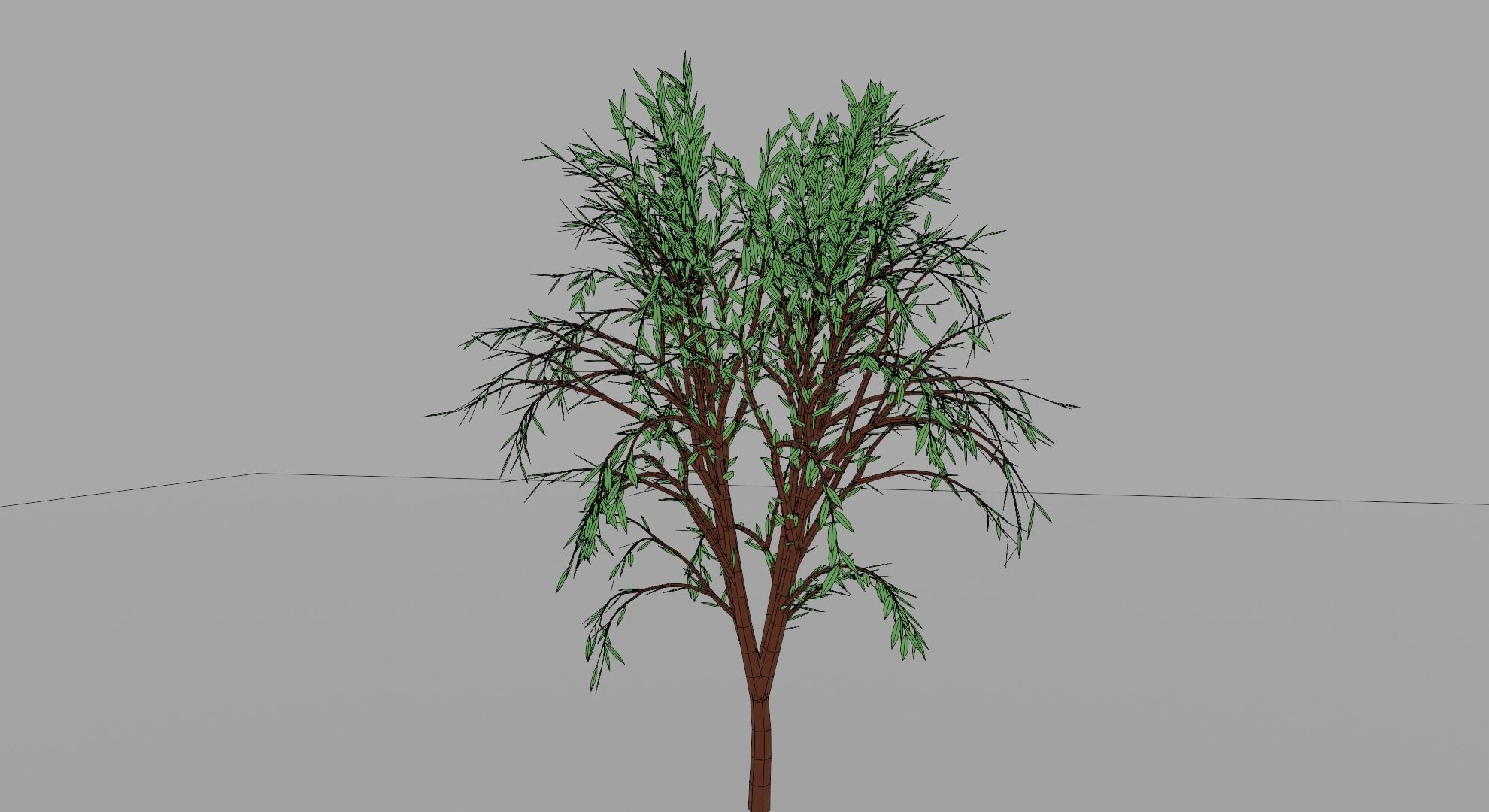 Tree 3D Model willow Free low-poly 3D model_2