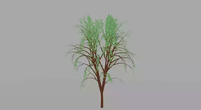 Tree 3D Model willow