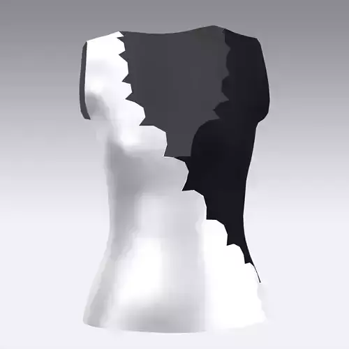 BLOUSE BLACK AND WHITE  LOOK