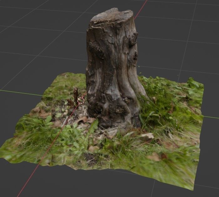 Stump with textures - Tocon de arbol con textura 3D model_4