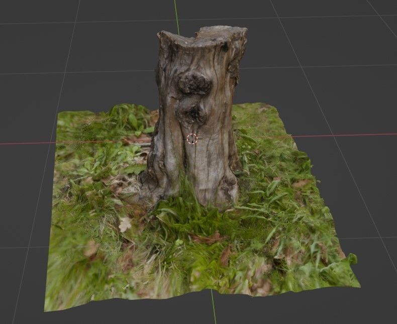 Stump with textures - Tocon de arbol con textura 3D model_5