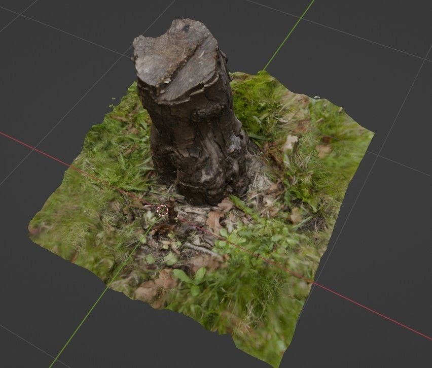 Stump with textures - Tocon de arbol con textura 3D model_3