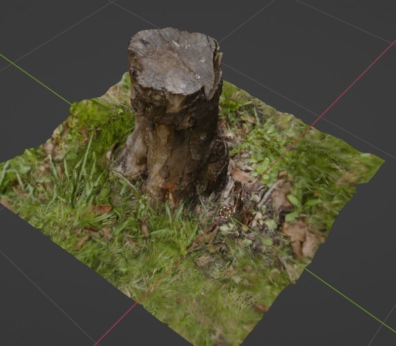 Stump with textures - Tocon de arbol con textura 3D model_2