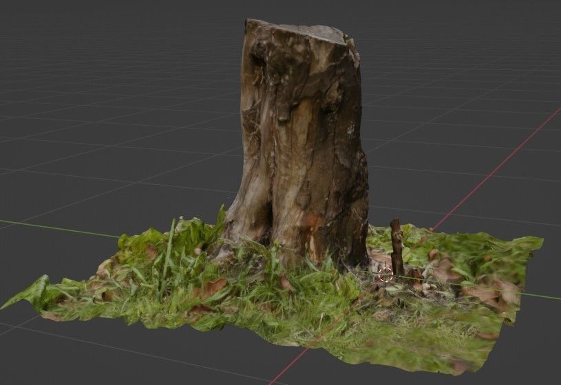 Stump with textures - Tocon de arbol con textura 3D model_1