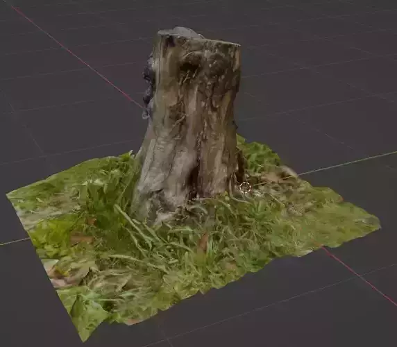 Stump with textures - Tocon de arbol con textura