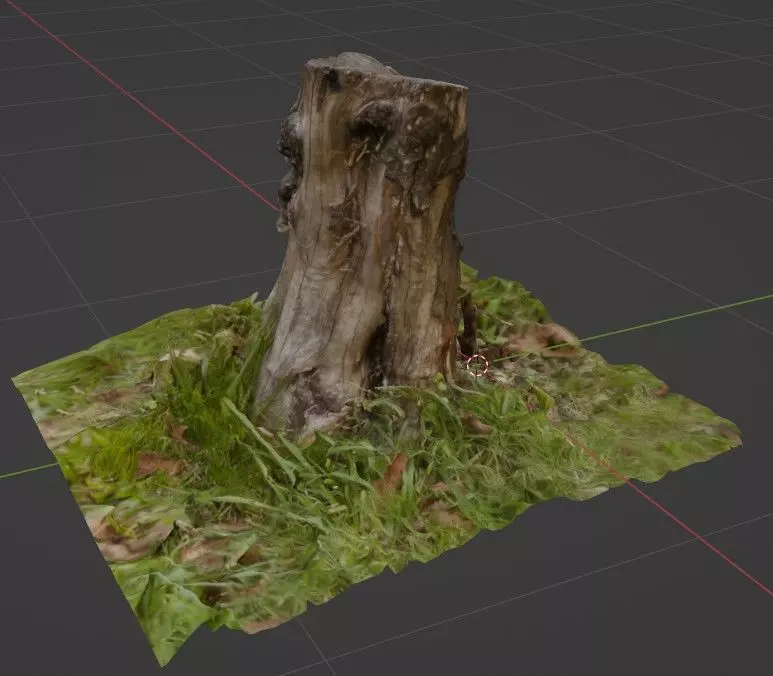 Stump with textures - Tocon de arbol con textura 3D model_0