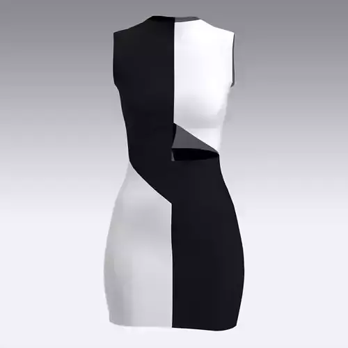 DRESS BLACK AND WHITE PANEL BELT LOOK 3D model