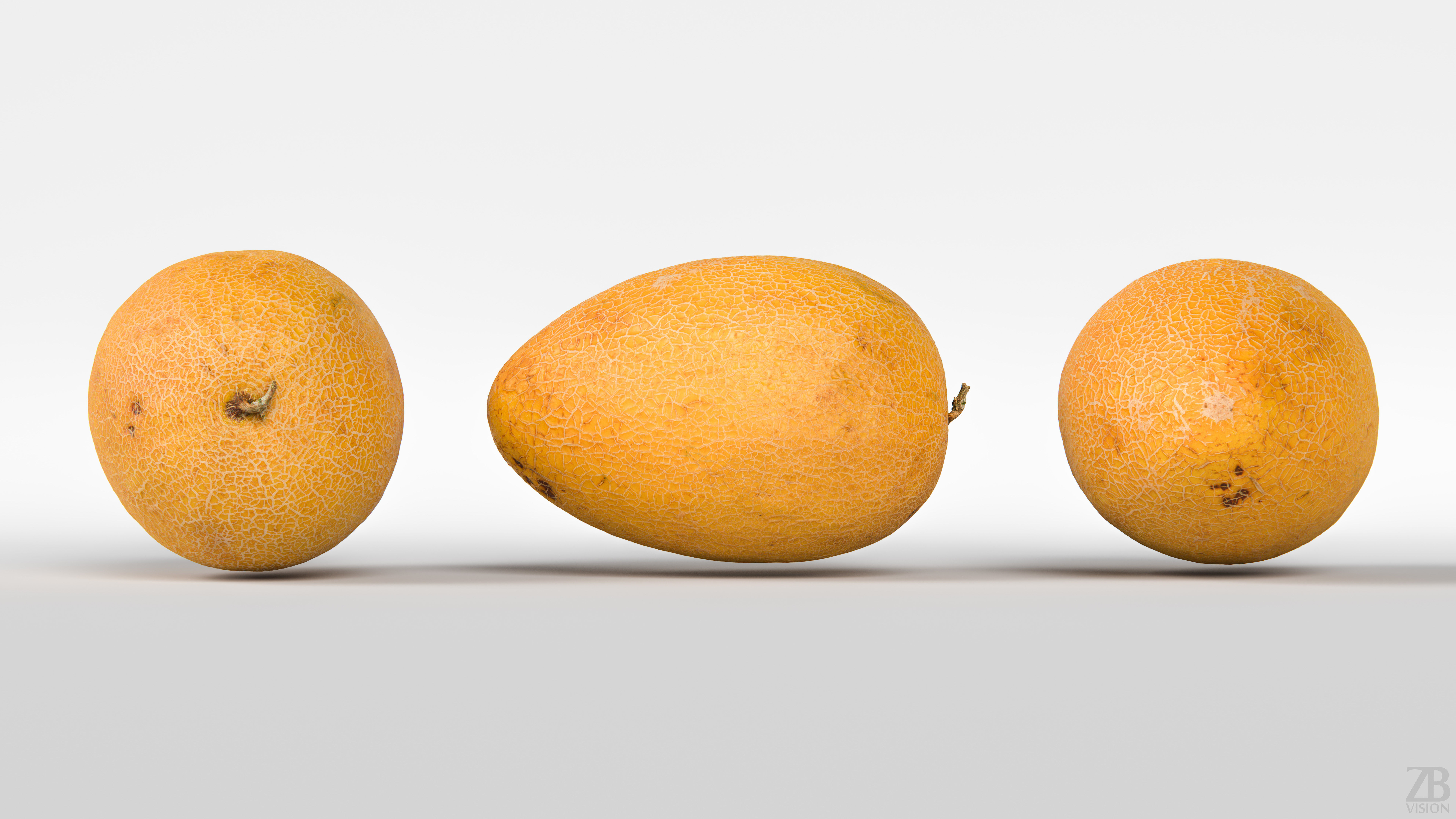 Melon 3D model_4