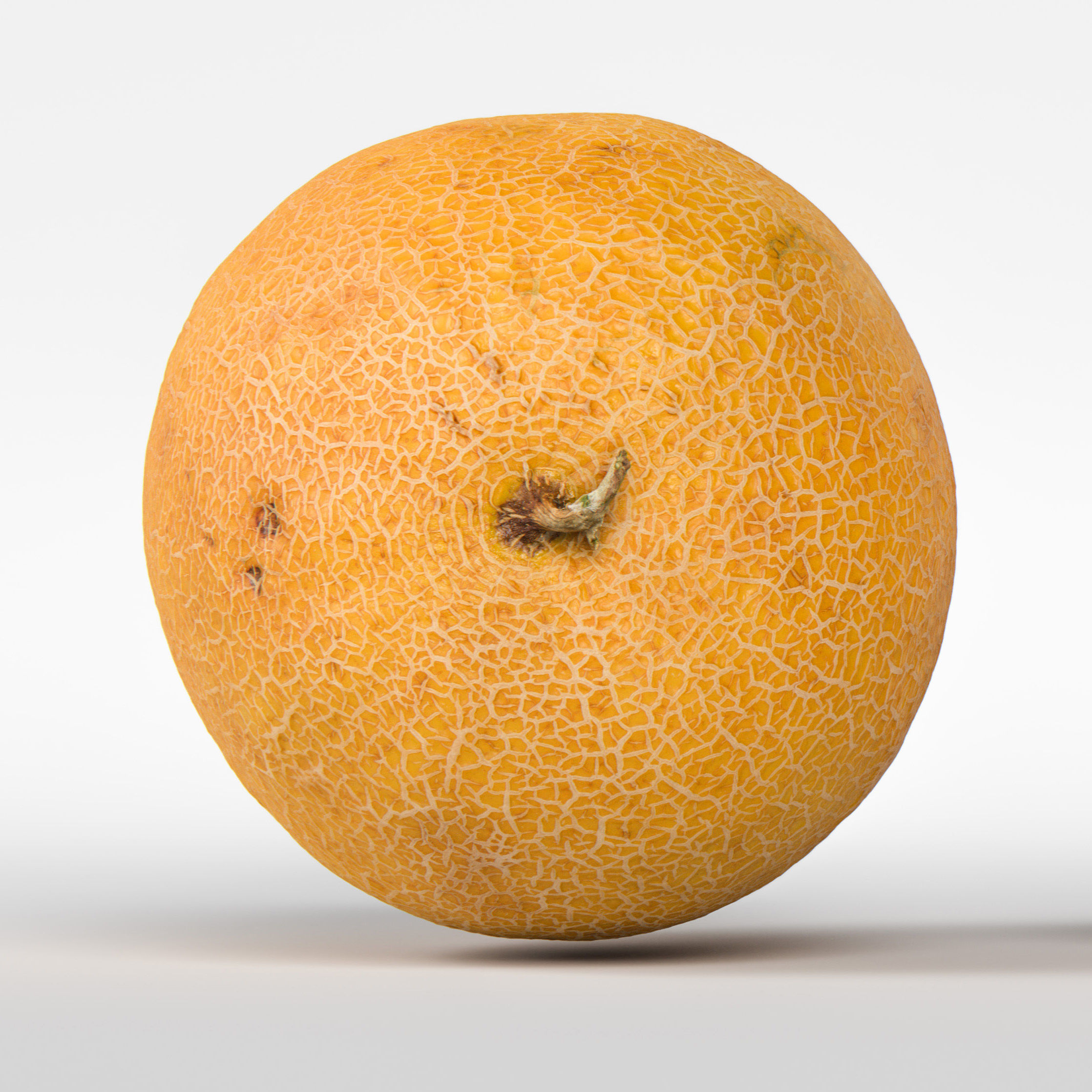 Melon 3D model_6