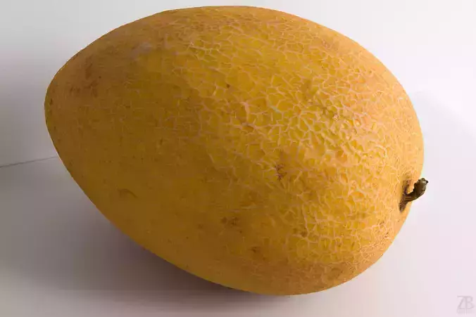 Melon 3D model