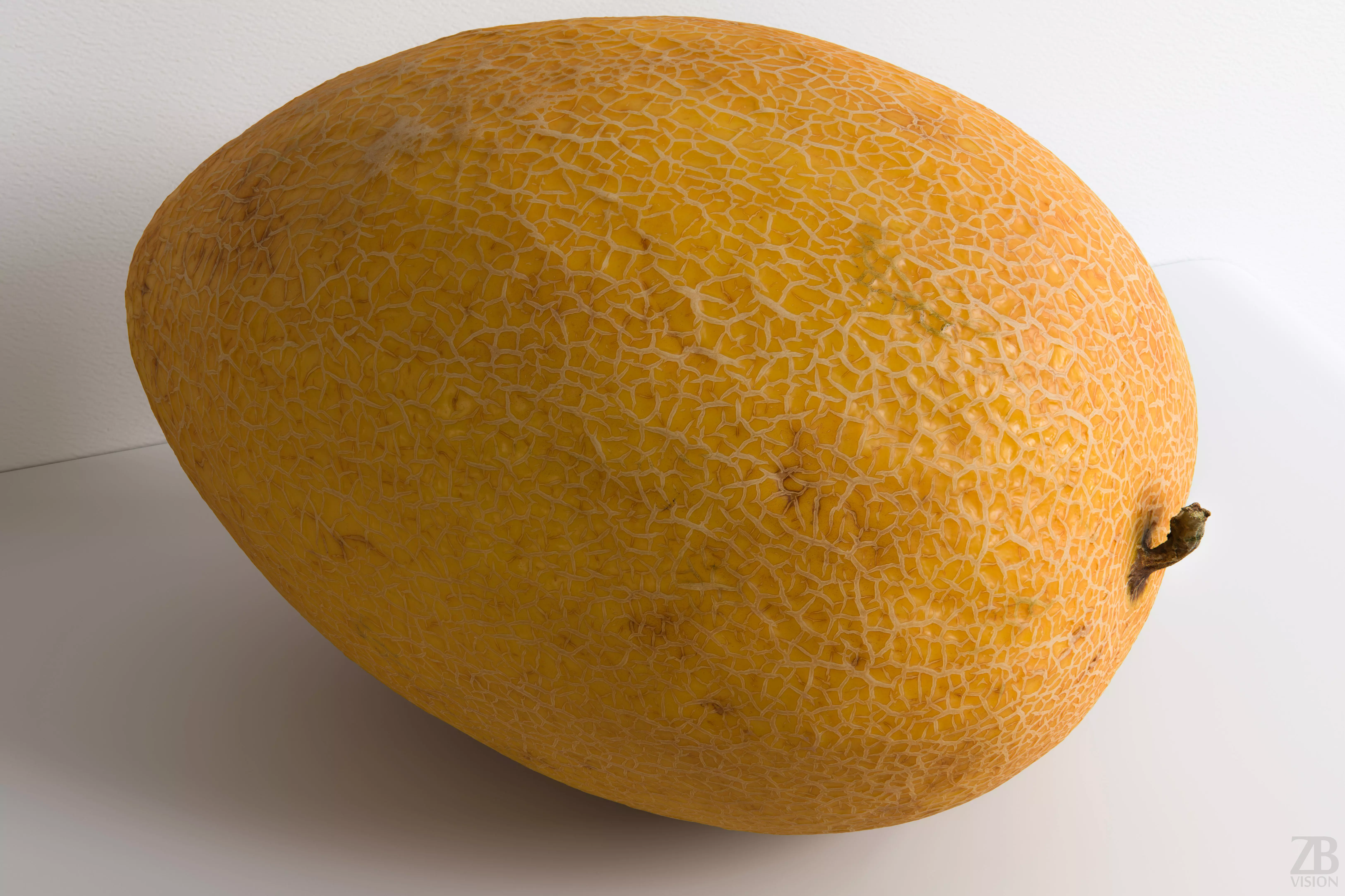Melon 3D model_0