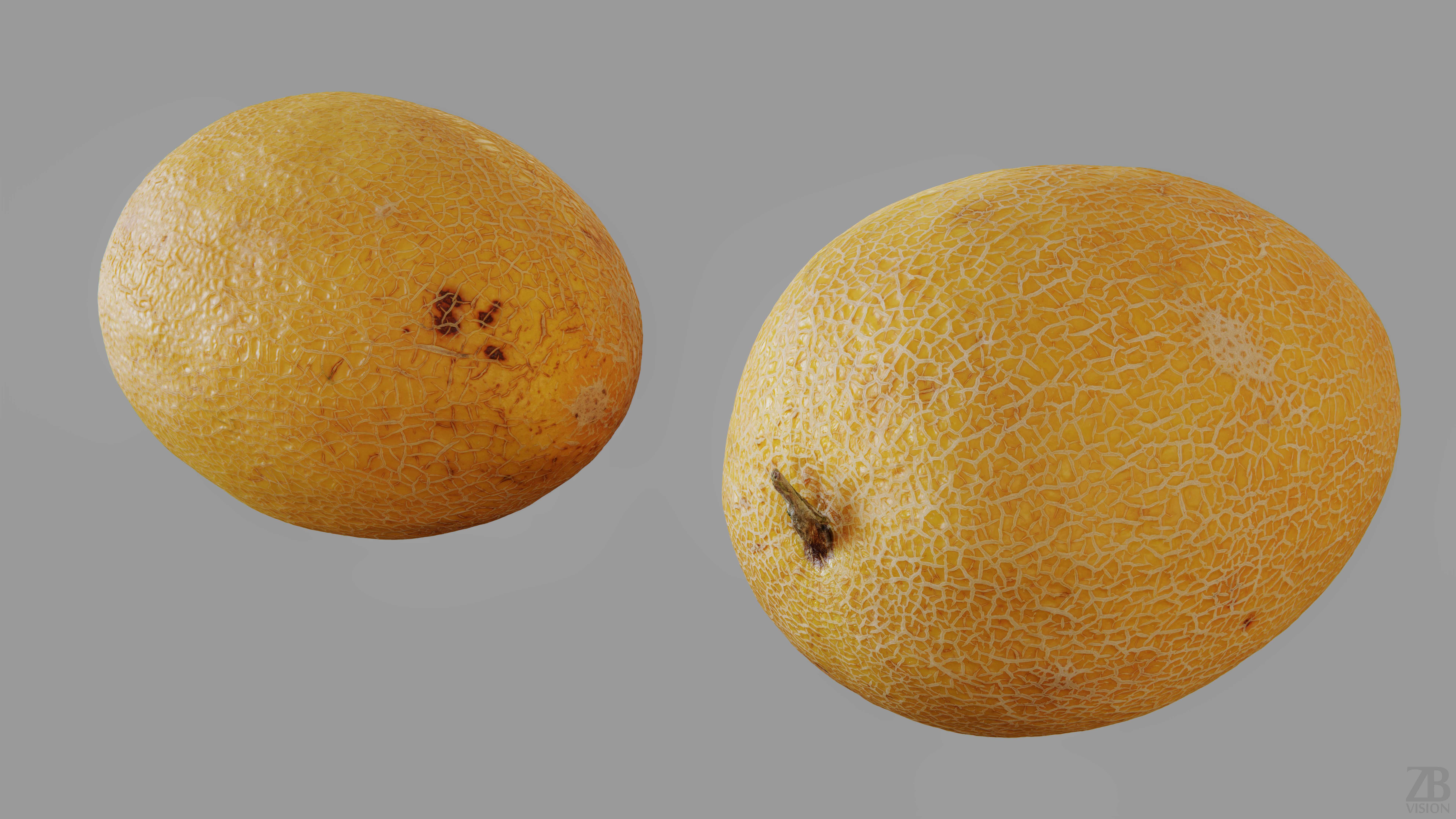 Melon 3D model_12