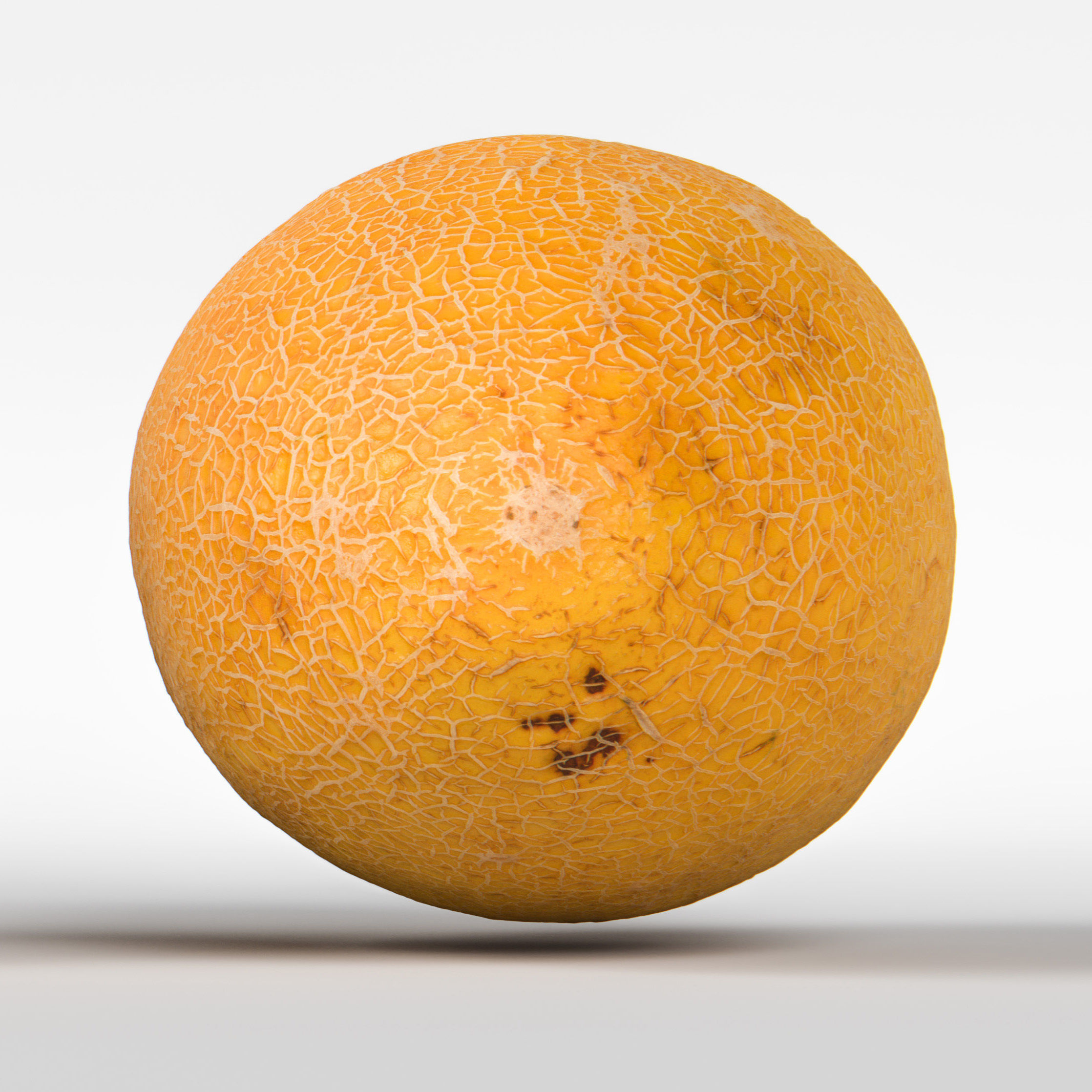 Melon 3D model_7