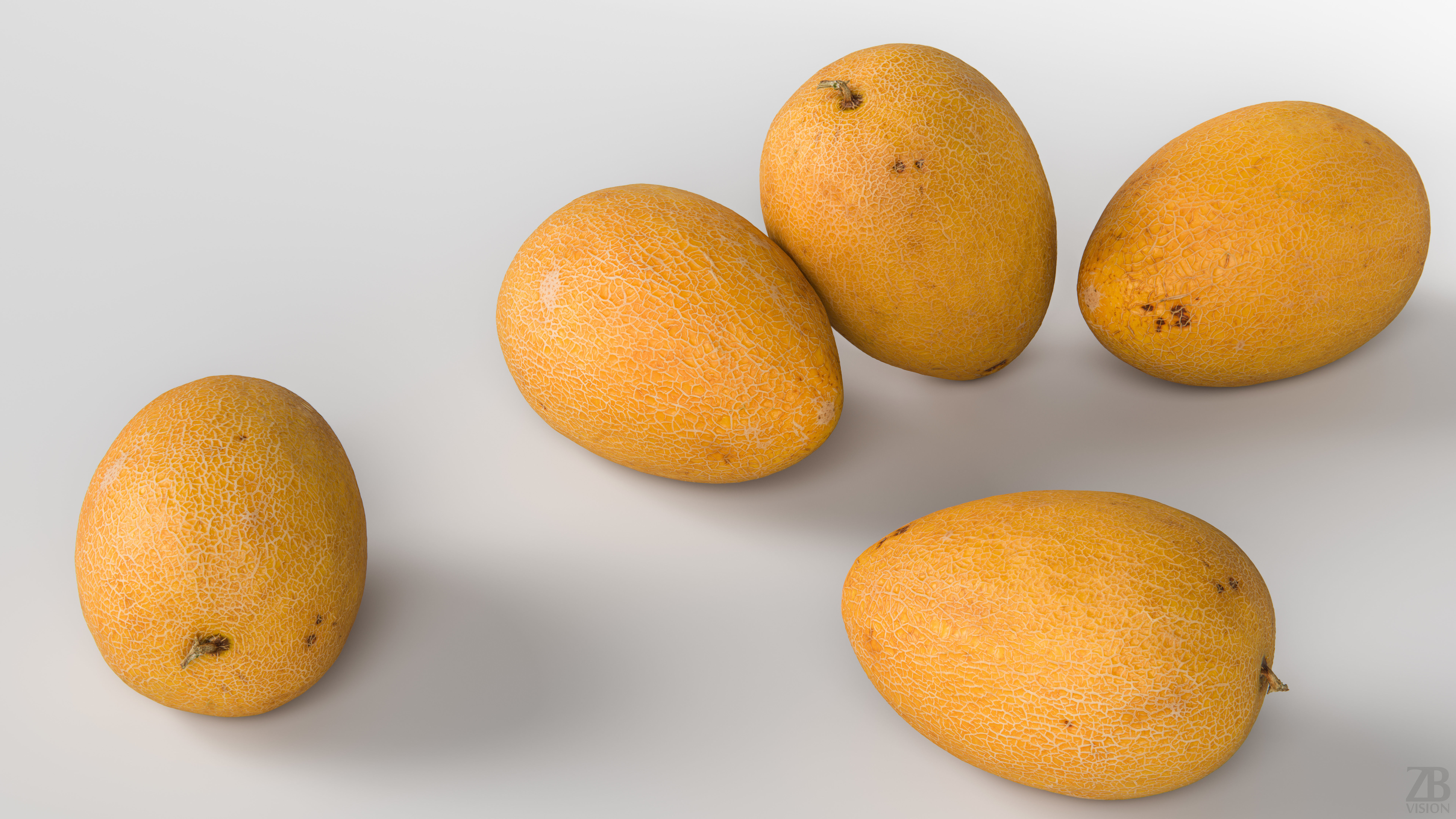 Melon 3D model_2