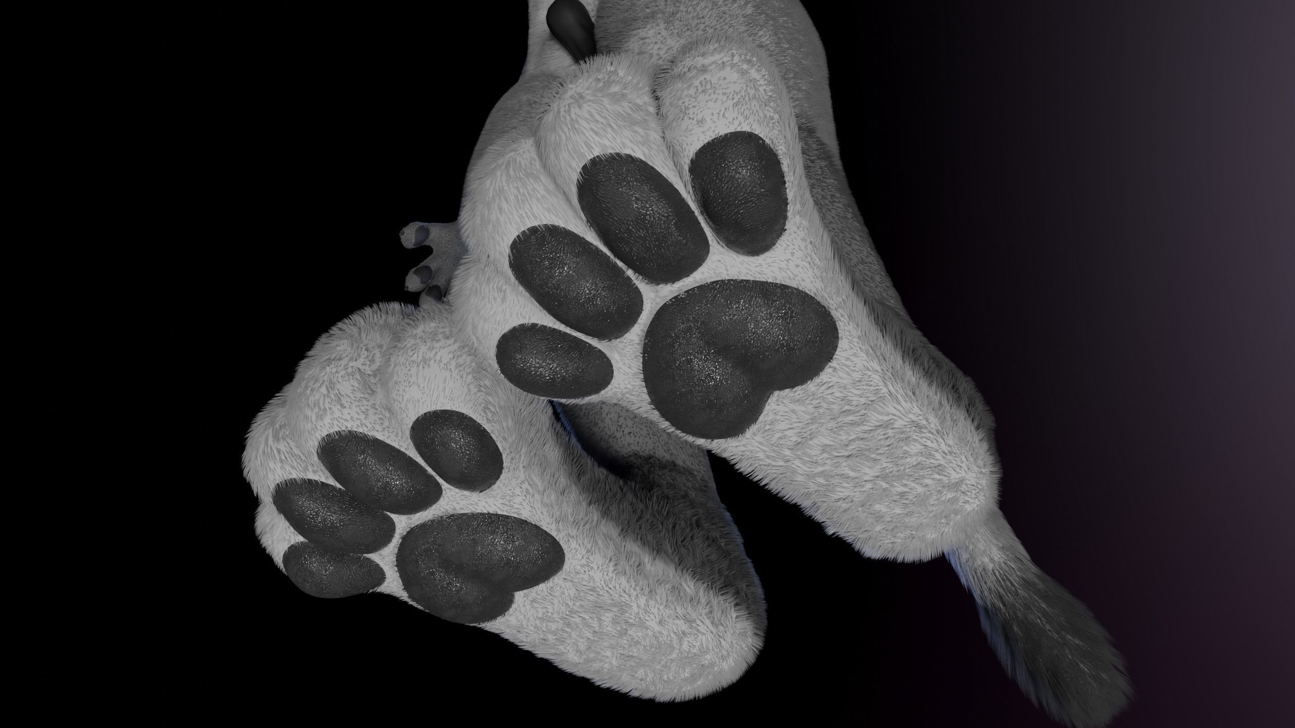 Apolo Anthro White Lion 3D model_13