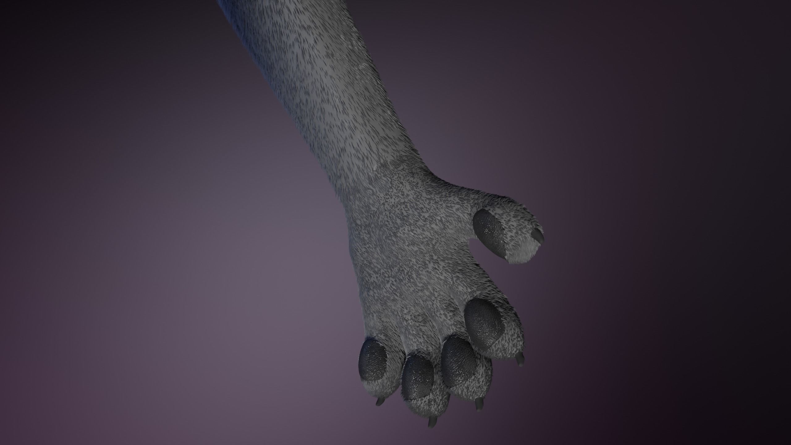 Apolo Anthro White Lion 3D model_11